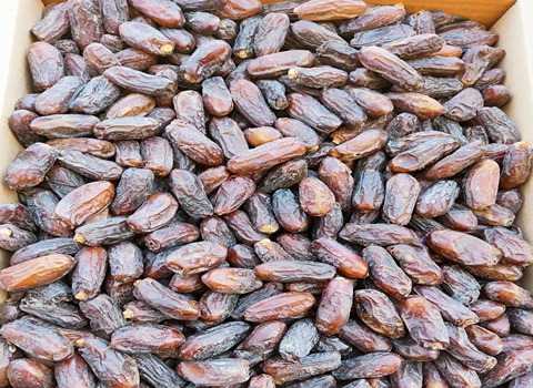 فروش خرما خاصویی خشک + قیمت خرید به صرفه